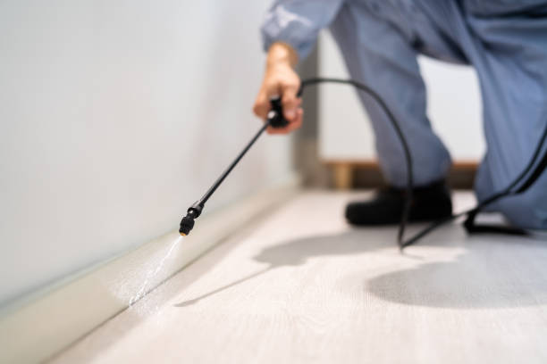Licensed Pest Control service in Brusly, LA - Show Me Pest Control