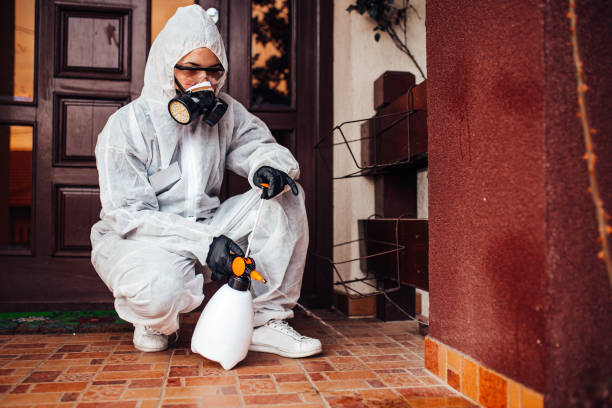 Reliable Wasp Removal contractor in Brusly, LA by Show Me Pest Control