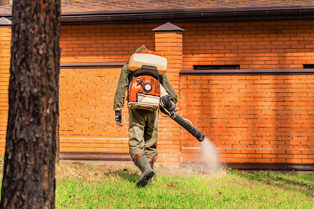 Top rated local Wasp Removal specialists in Brusly, LA